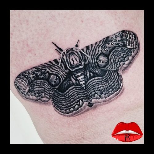 Papillon Brahmaea